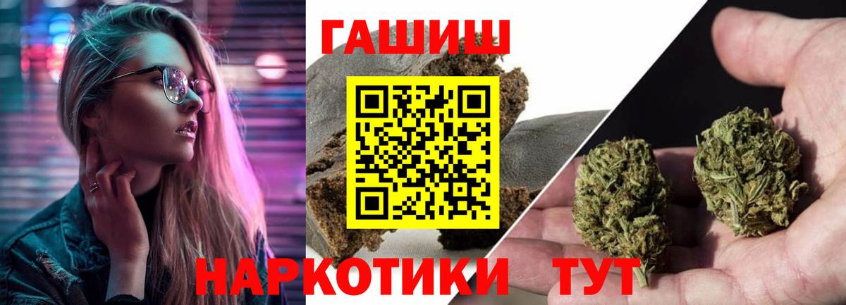 ГАШ Premium Краснодар