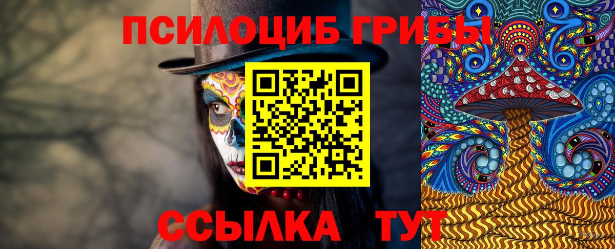 Псилоцибиновые грибы мицелий Краснодар
