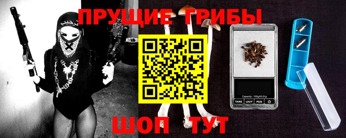 Галлюциногенные грибы Psilocybe  Вход с VPN  Краснодар 