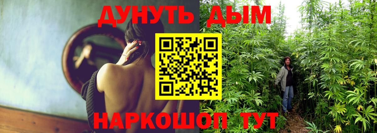 Краснодар  МАРИХУАНА Amnesia  Марихуана план  Бошки Шишки LSD WEED  Бошки Шишки план  Вход с VPN 